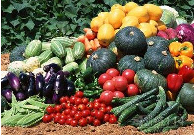 农产品蔬菜配送配送环节很重要